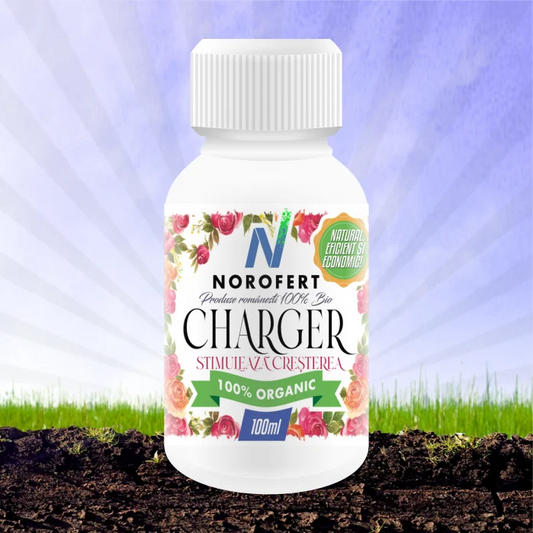 Charger – Biostimulator pentru plante pe bază de aminoacizi Norofert